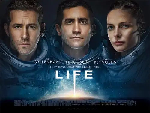 东方影视-孕妈咪纪实录