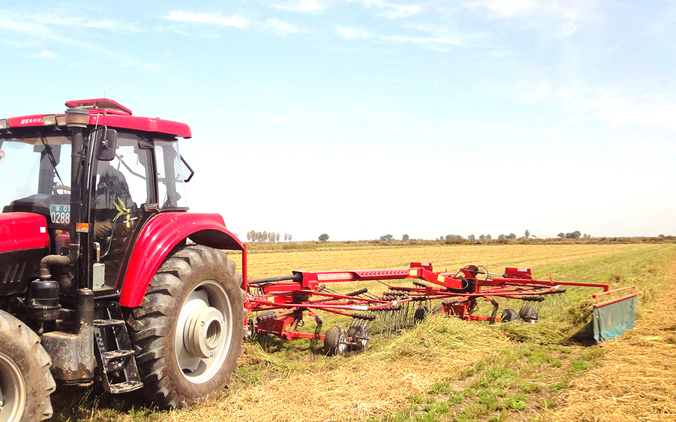 標(biāo)題：9LSQ-5.3型多功能水平旋轉(zhuǎn)摟草機(jī)
瀏覽次數(shù)：44
發(fā)表時間：2023-12-12