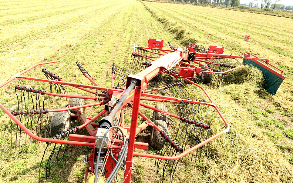 標(biāo)題：9LSQ-5.3型多功能水平旋轉(zhuǎn)摟草機(jī)
瀏覽次數(shù)：64
發(fā)表時間：2023-12-12